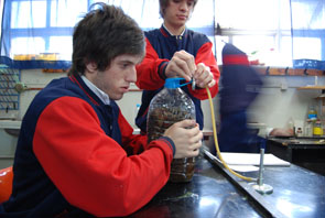 Producción de biogás en la escuela